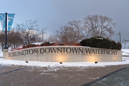 Daniel Costa's Eco-Innovations Transforming Design: A Deep Dive